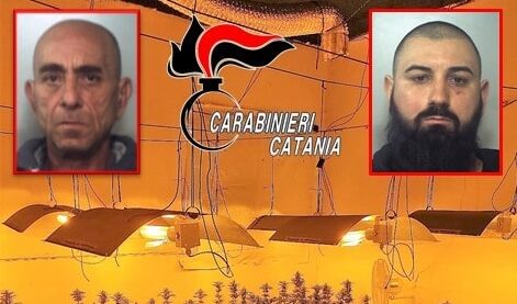 CATANIA. SEQUESTRATA PIANTAGIONE DI “SKUNK”: ARRESTATI I DUE COLTIVATORI
