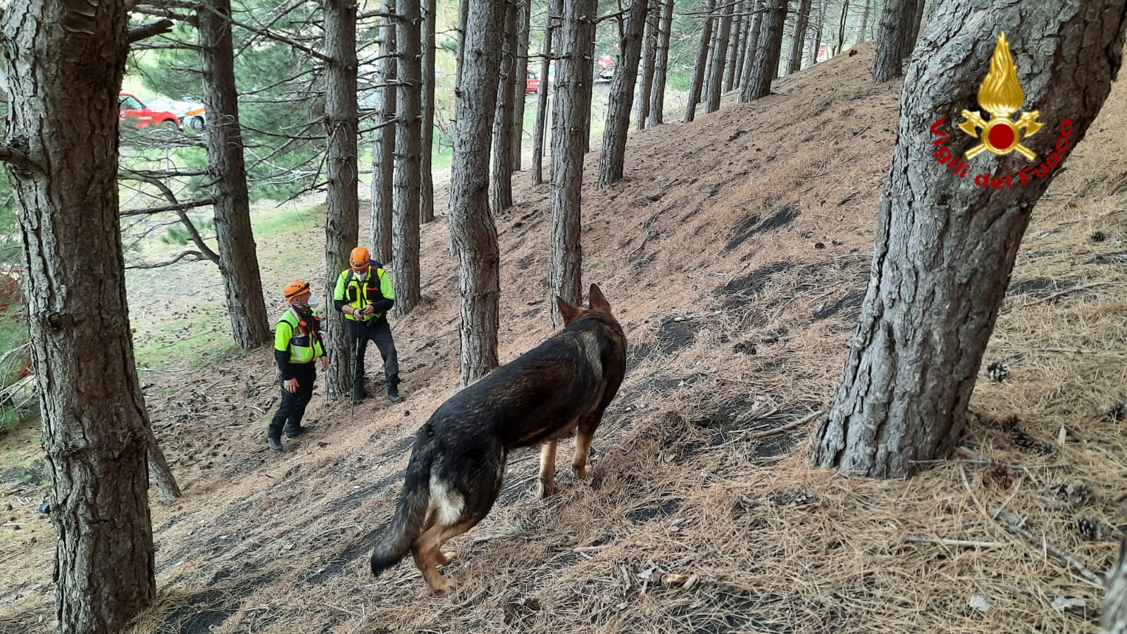 CONCLUSA L'ESERCITAZIONE DI COMUNICAZIONE IN EMERGENZA ORGANIZZATA DAI VIGILI DEL FUOCO