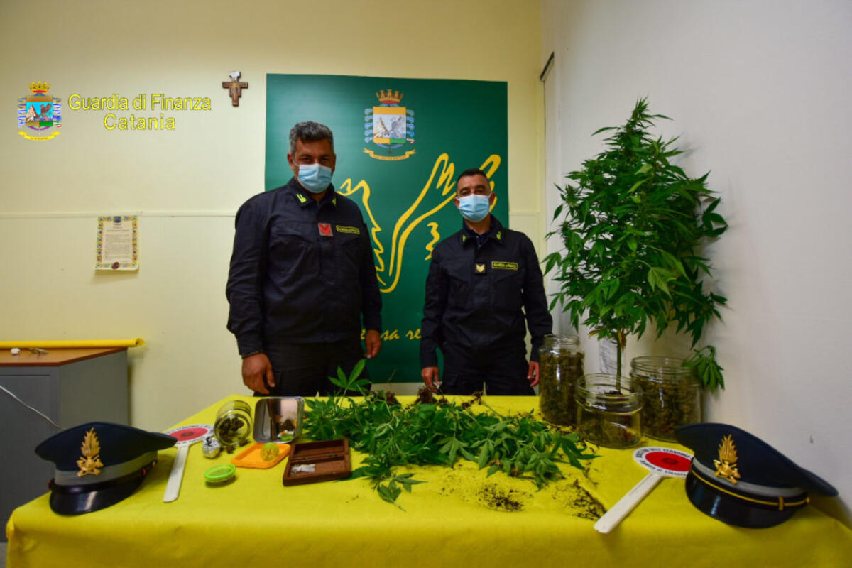 SEQUESTRO DI SOSTANZE STUPEFACENTI A GIARRE E SANT’ALFIO. ARRESTATO UN RESPONSABILE - 