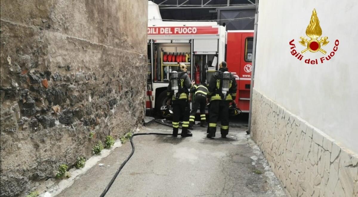 INCENDIO IN ABITAZIONE A CATANIA, VIGILI DEL FUOCO SALVANO UN BASSOTTO - 