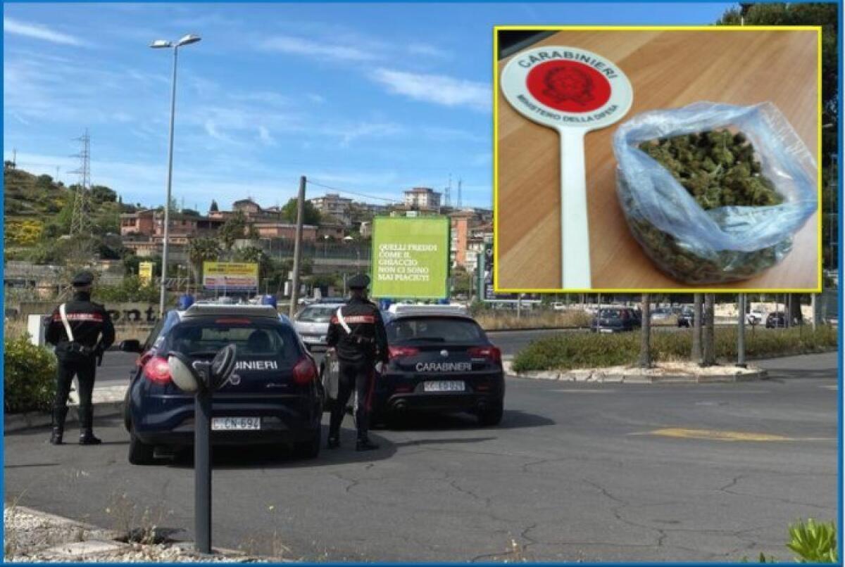 CATANIA. VIAGGIAVA CON LA MARIJUANA NASCOSTA SOTTO IL SEDILE: MECCANICO IN MANETTE - 