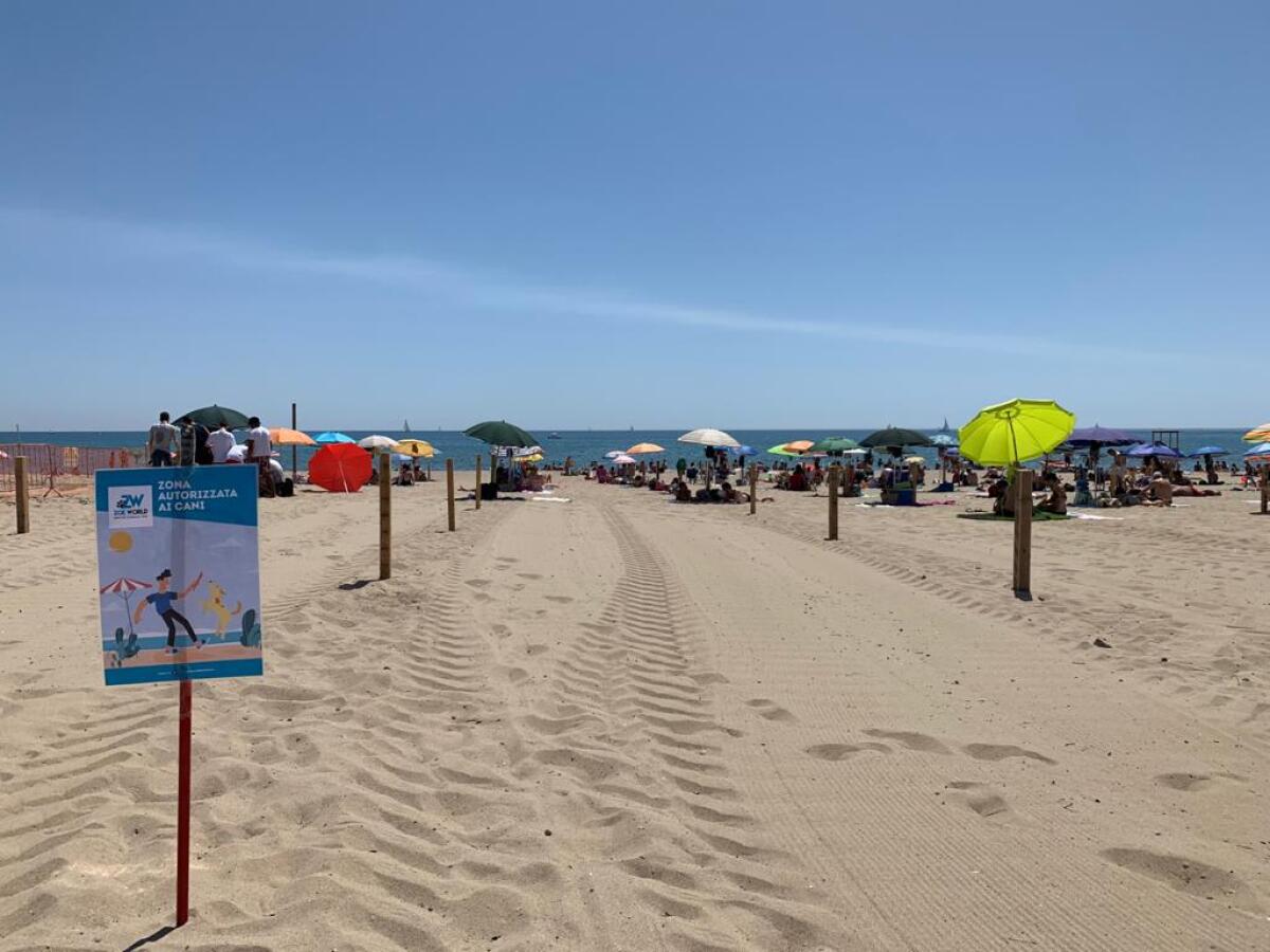 CATANIA, NELLE SPIAGGE LIBERE ARRIVA NUOVI SERVIZI: IL WIFI, AREE PER CANI, GIOCHI E ANIMAZIONE - 