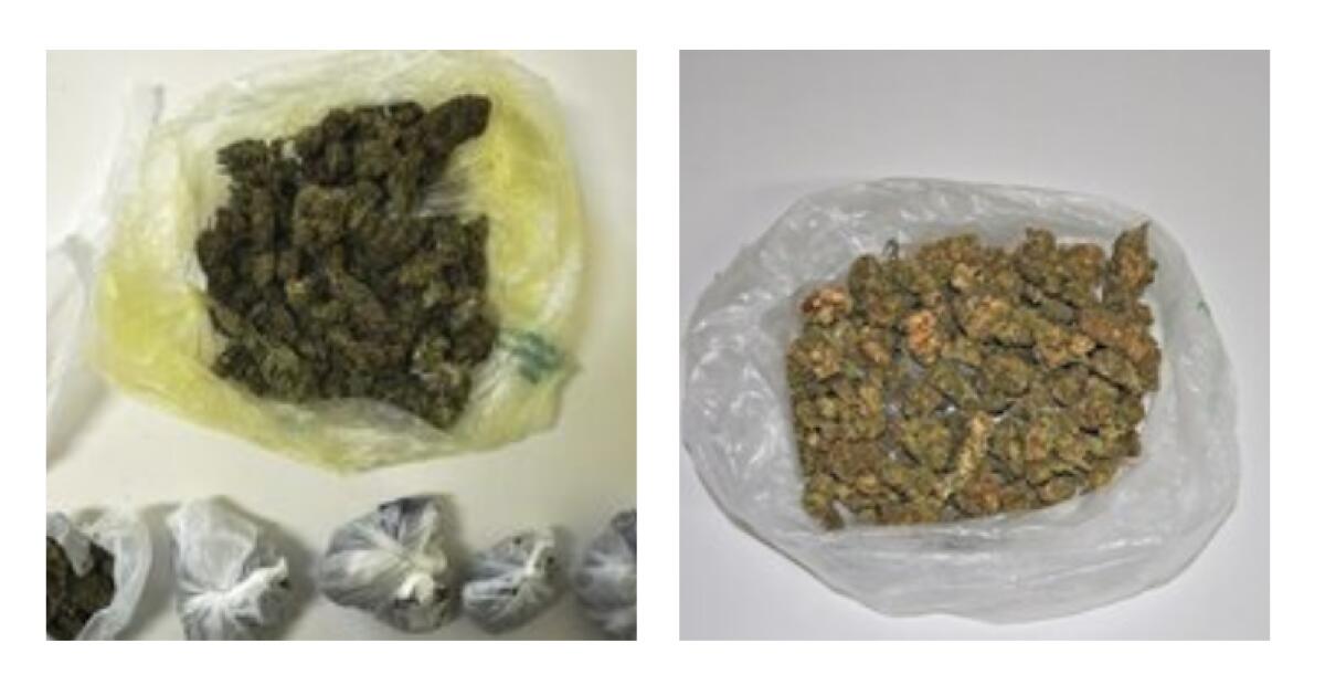 ATTIVITA’ ANTIDORGA DEL COMMISSARIATO DI ADRANO, DUE ARRESTI - 