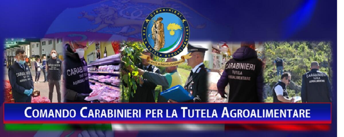 UTILIZZO INDEBITO DEI MARCHI “ARANCIA ROSSA DI SICILIA” E “FICO D’INDIA DI SAN CONO”, SEQUESTRI E SANZIONI - 