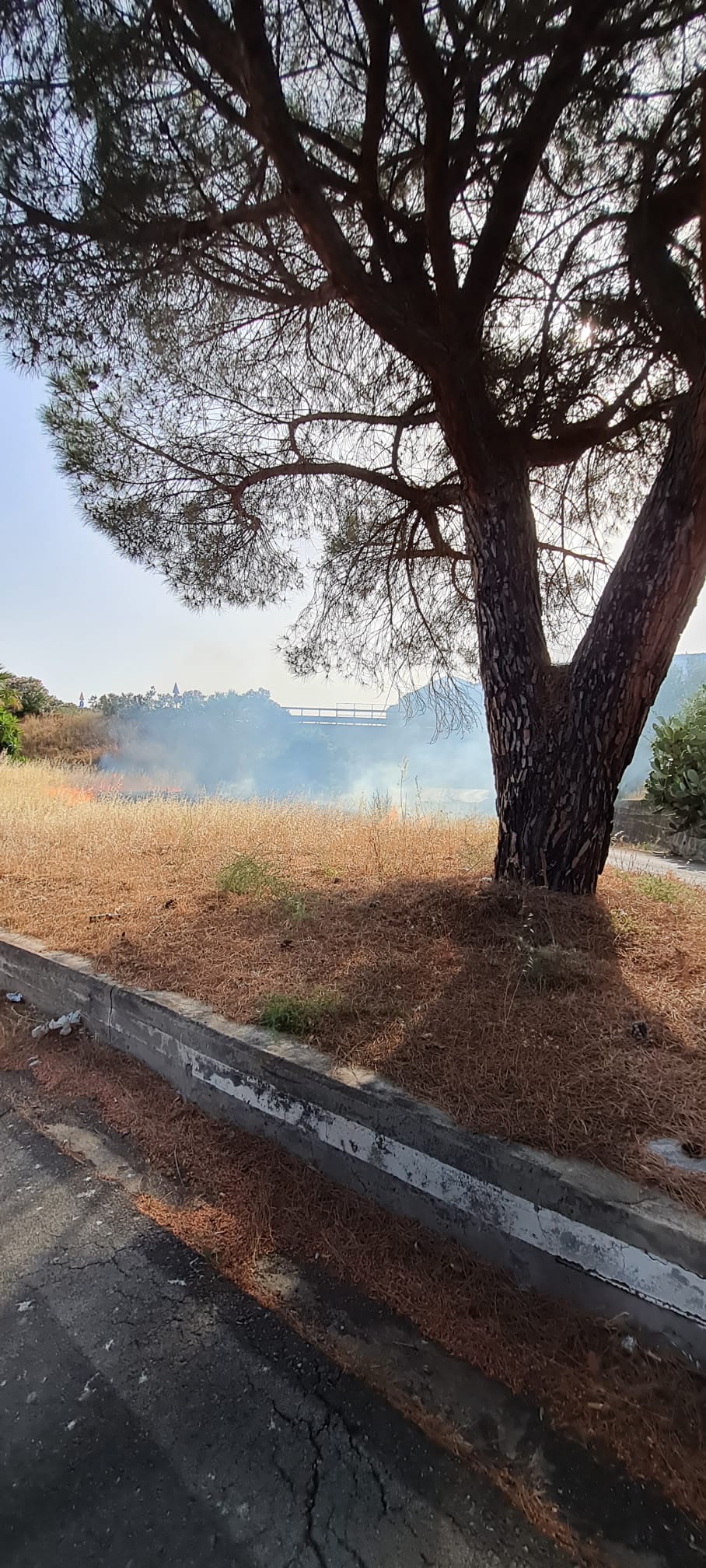 PATERNÒ: DOPPIO INTERVENTO DEI VIGILI DEL FUOCO PER INCENDIO STERPAGLIE