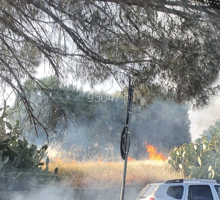 PATERNÒ: DOPPIO INTERVENTO DEI VIGILI DEL FUOCO PER INCENDIO STERPAGLIE