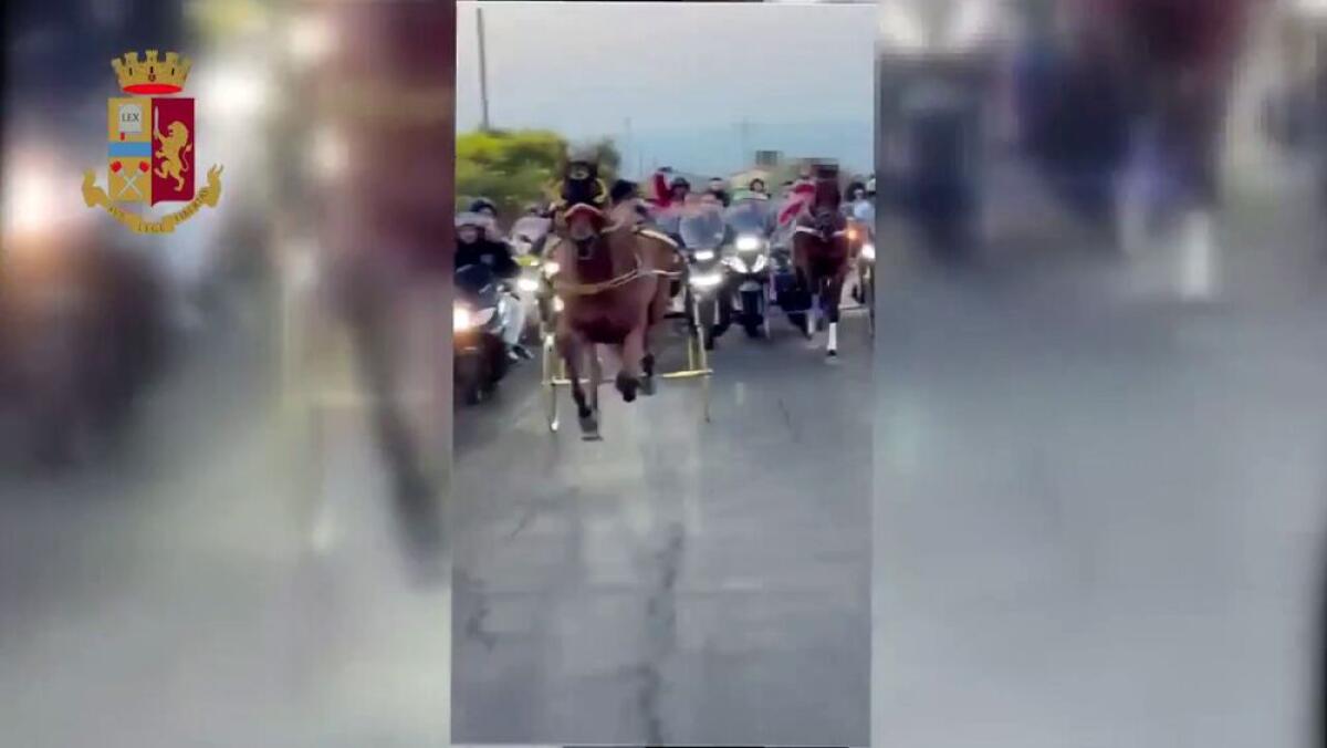 CORSA CLANDESTINA DI CAVALLI A CAMPOROTONDO ETNEO, INDIVIDUATI I RESPONSABILI - 