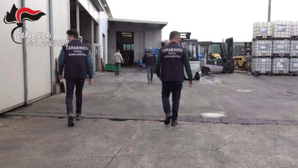 MAXI SEQUESTRO DI CONCENTRATO DI POMODORO EGIZIANO PIENO DI PESTICIDI, VENDUTO COME “MADE IN ITALY” - 