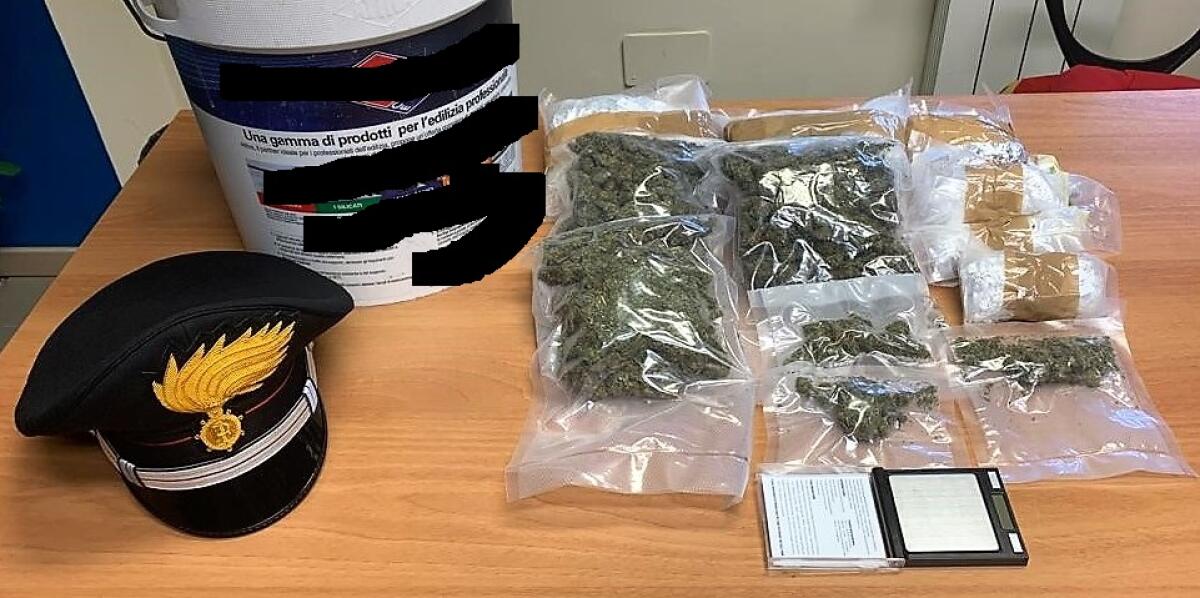 MASCALUCIA.  NELLA LATTA AL POSTO DELLA VERNICE 700 GRAMMI DI MARIJUANA - 