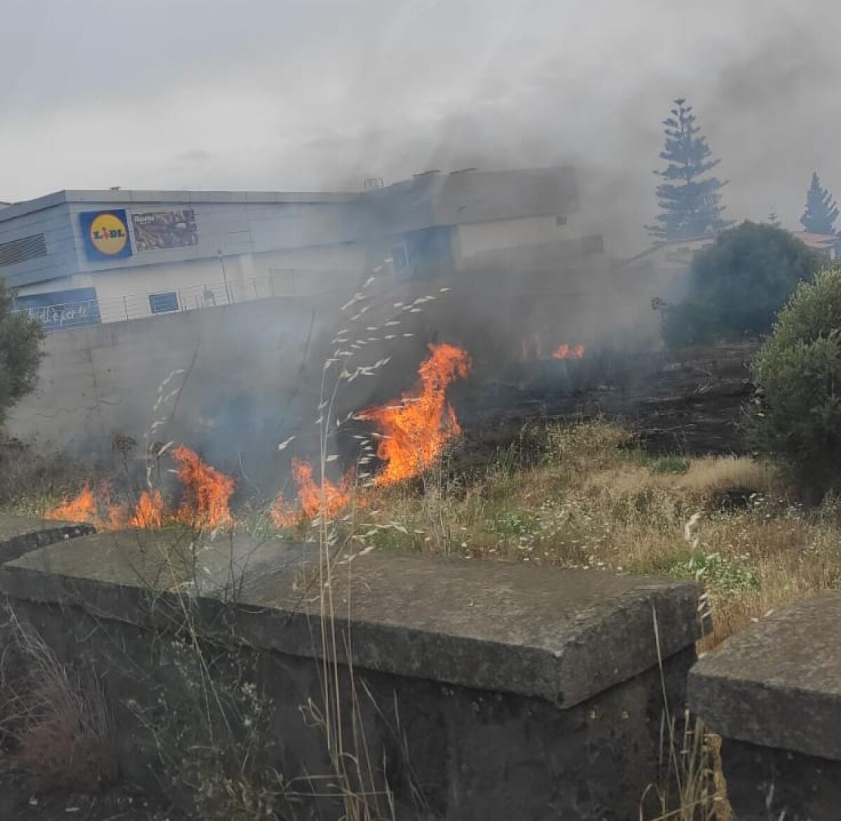 PATERNO': ENNESIMO INCENDIO DI STERPAGLIE IN CITTA' - 