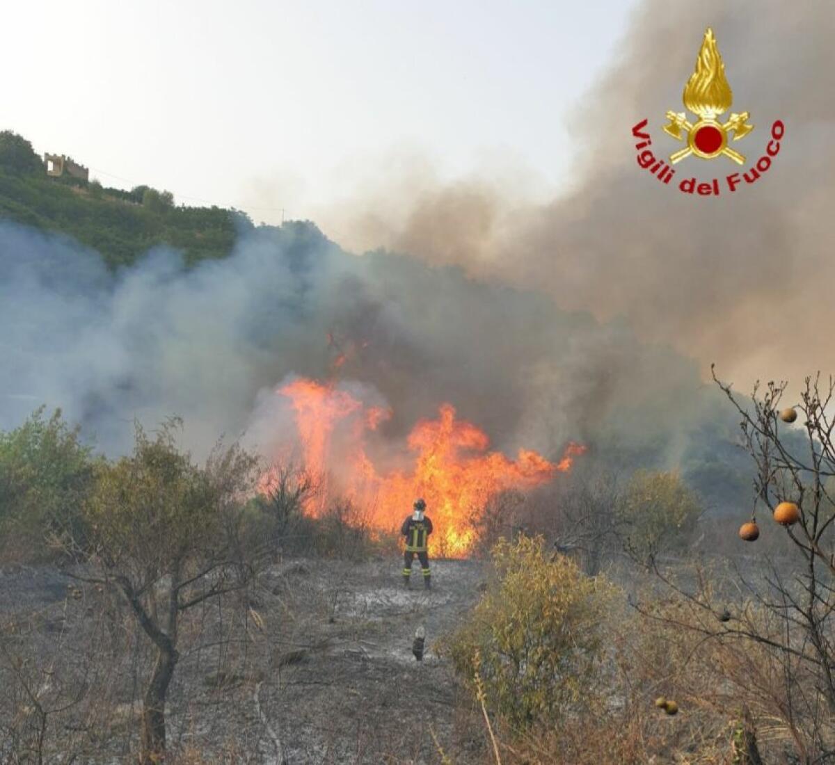 CALDO E ROGHI IN PROVINCIA DI CATANIA: IERI OLTRE 70 INTERVENTI DEI VIGILI DEL FUOCO - 