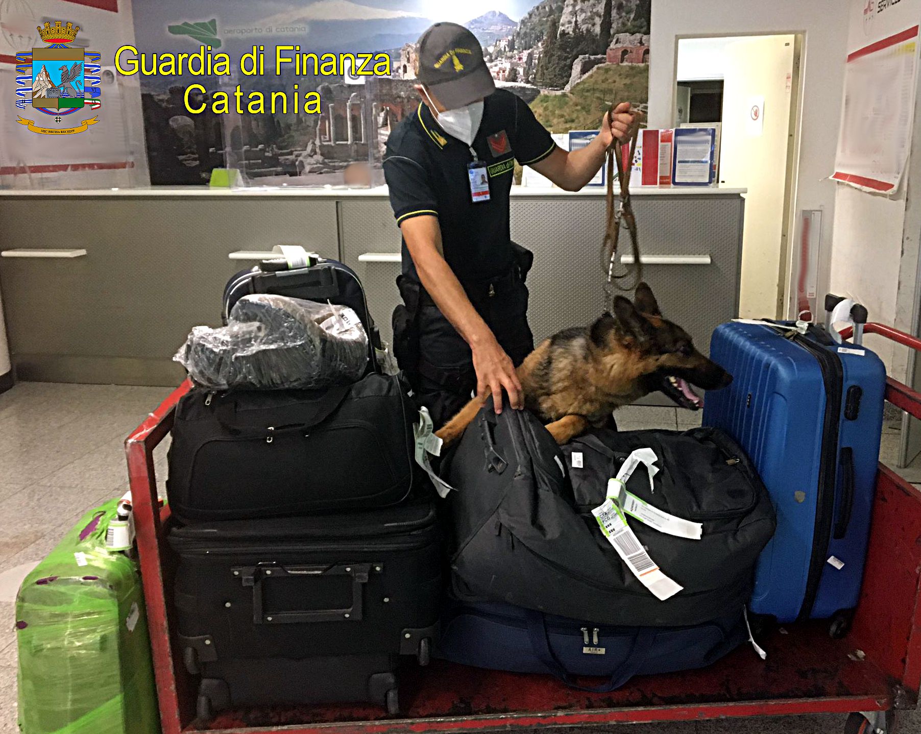 FERMATO PER UN CONTROLLO ALL’AEROPORTO DI CATANIA VIENE SCOPERTO DAL FIUTO DEL CANE IN POSSESSO DI 138 GRAMMI DI DROGA E ARRESTATO.