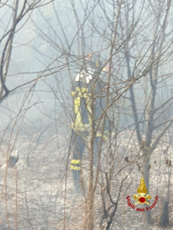 CALDO E ROGHI IN PROVINCIA DI CATANIA: IERI OLTRE 70 INTERVENTI DEI VIGILI DEL FUOCO