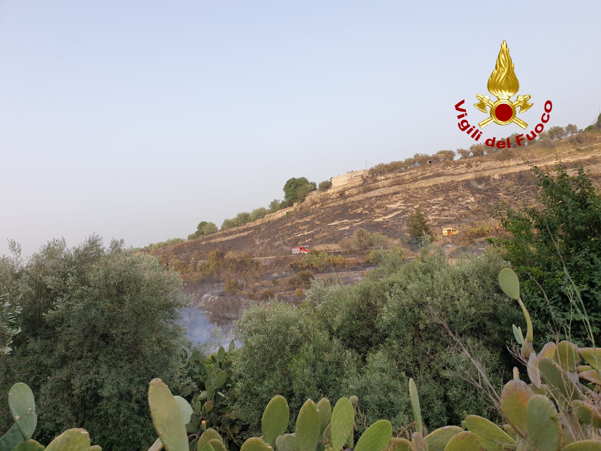 CALDO E ROGHI IN PROVINCIA DI CATANIA: IERI OLTRE 70 INTERVENTI DEI VIGILI DEL FUOCO