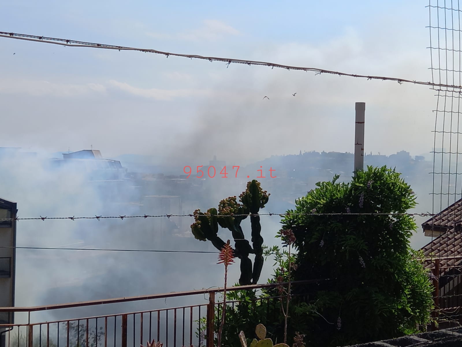 PATERNO’: ENNESIMO INCENDIO DI STERPAGLIE IN CITTA’, DENSA COLONNA DI FUMO