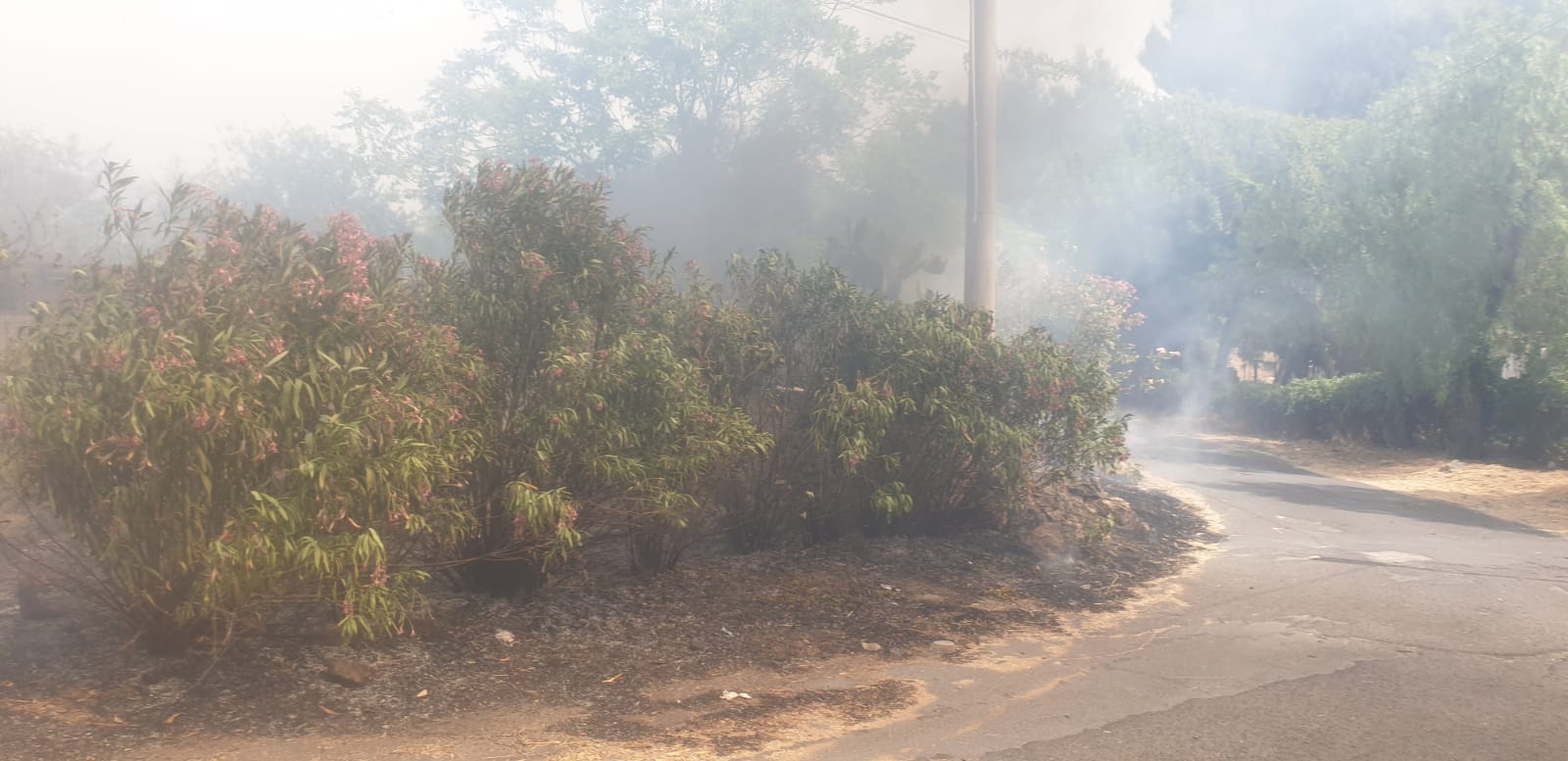 INCENDIO DI STERPAGLIE VICINO ALLE CASE, PAURA IN VIA CESAREA