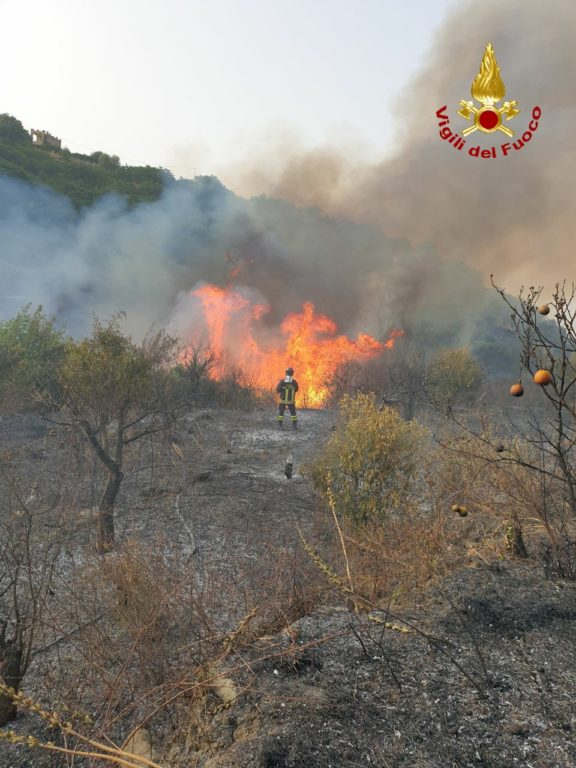 CALDO E ROGHI IN PROVINCIA DI CATANIA: IERI OLTRE 70 INTERVENTI DEI VIGILI DEL FUOCO