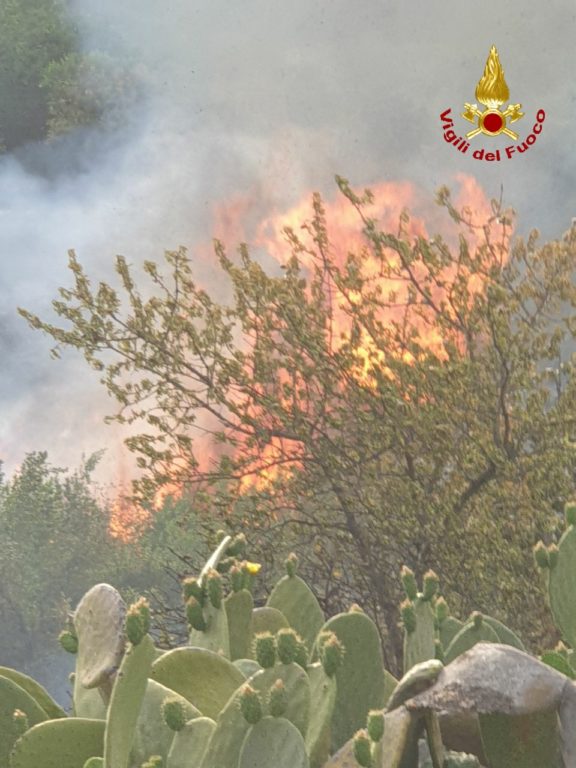 CALDO E ROGHI IN PROVINCIA DI CATANIA: IERI OLTRE 70 INTERVENTI DEI VIGILI DEL FUOCO
