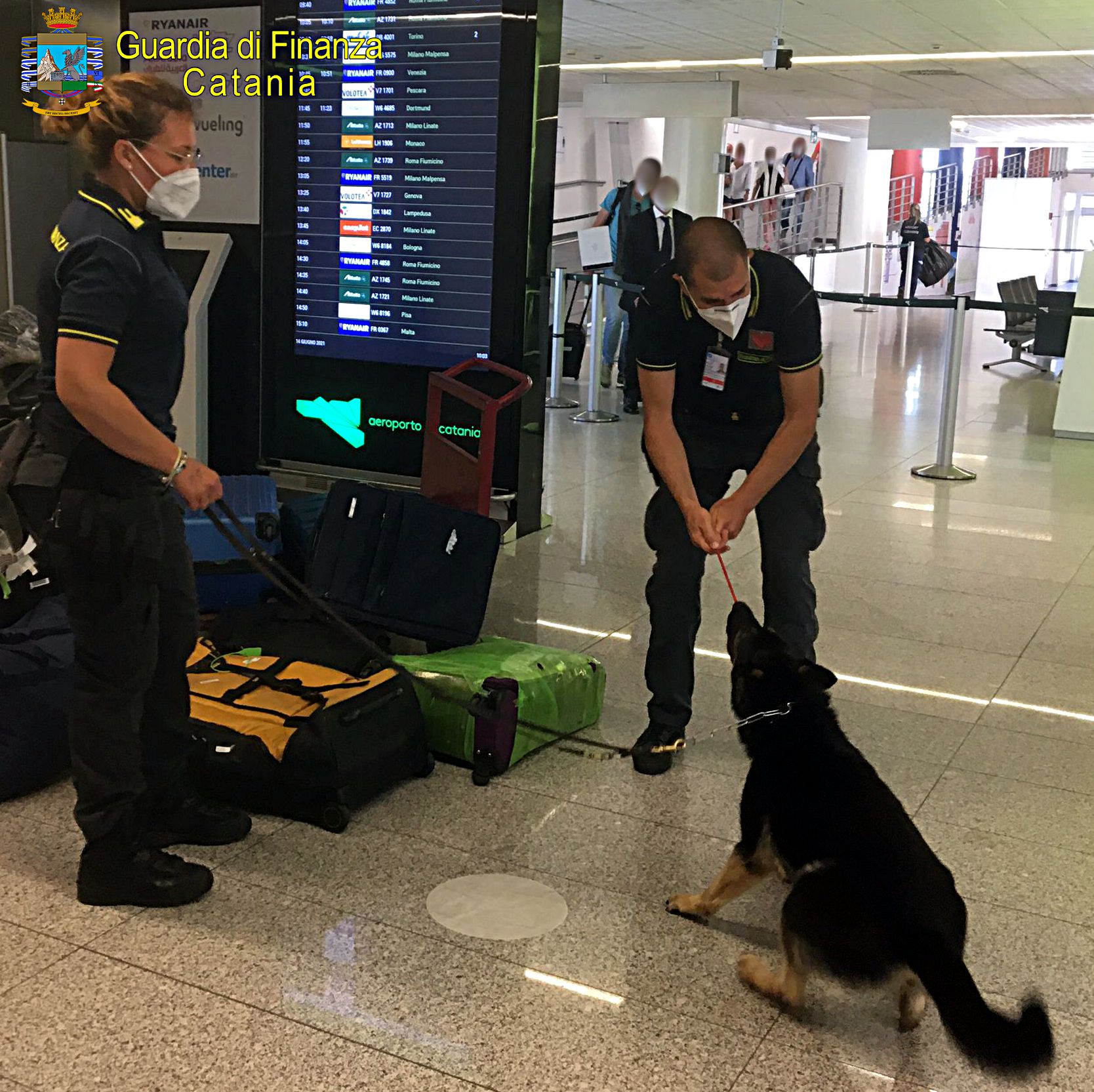 FERMATO PER UN CONTROLLO ALL’AEROPORTO DI CATANIA VIENE SCOPERTO DAL FIUTO DEL CANE IN POSSESSO DI 138 GRAMMI DI DROGA E ARRESTATO.