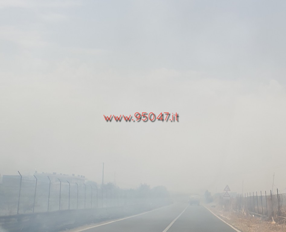 VASTO INCENDIO STERPAGLIE IN CONTRADA POGGIO MONACO, DISTRUTTI AGRUMETI