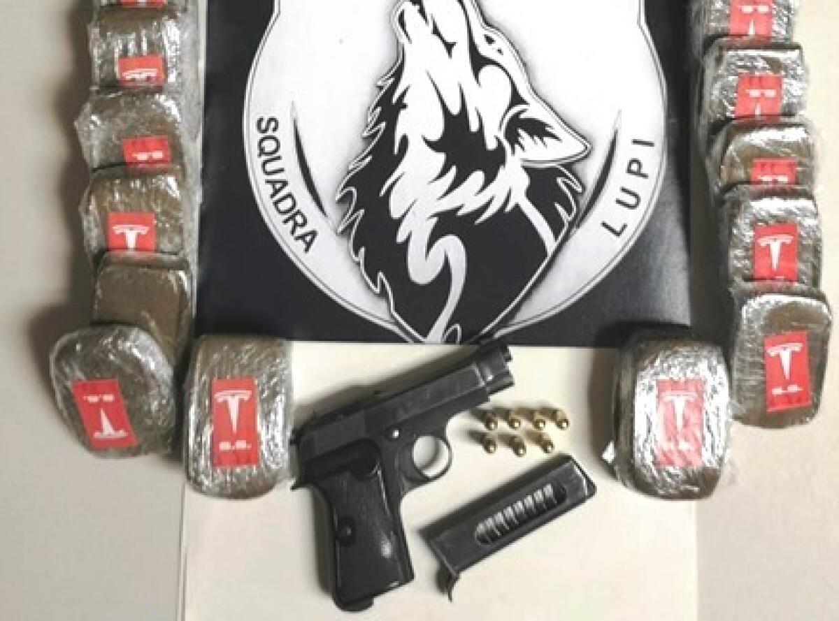 CATANIA. I LUPI A SAN GIORGIO “FIUTANO” HASHISH ED UNA PISTOLA: UN ARRESTO - 