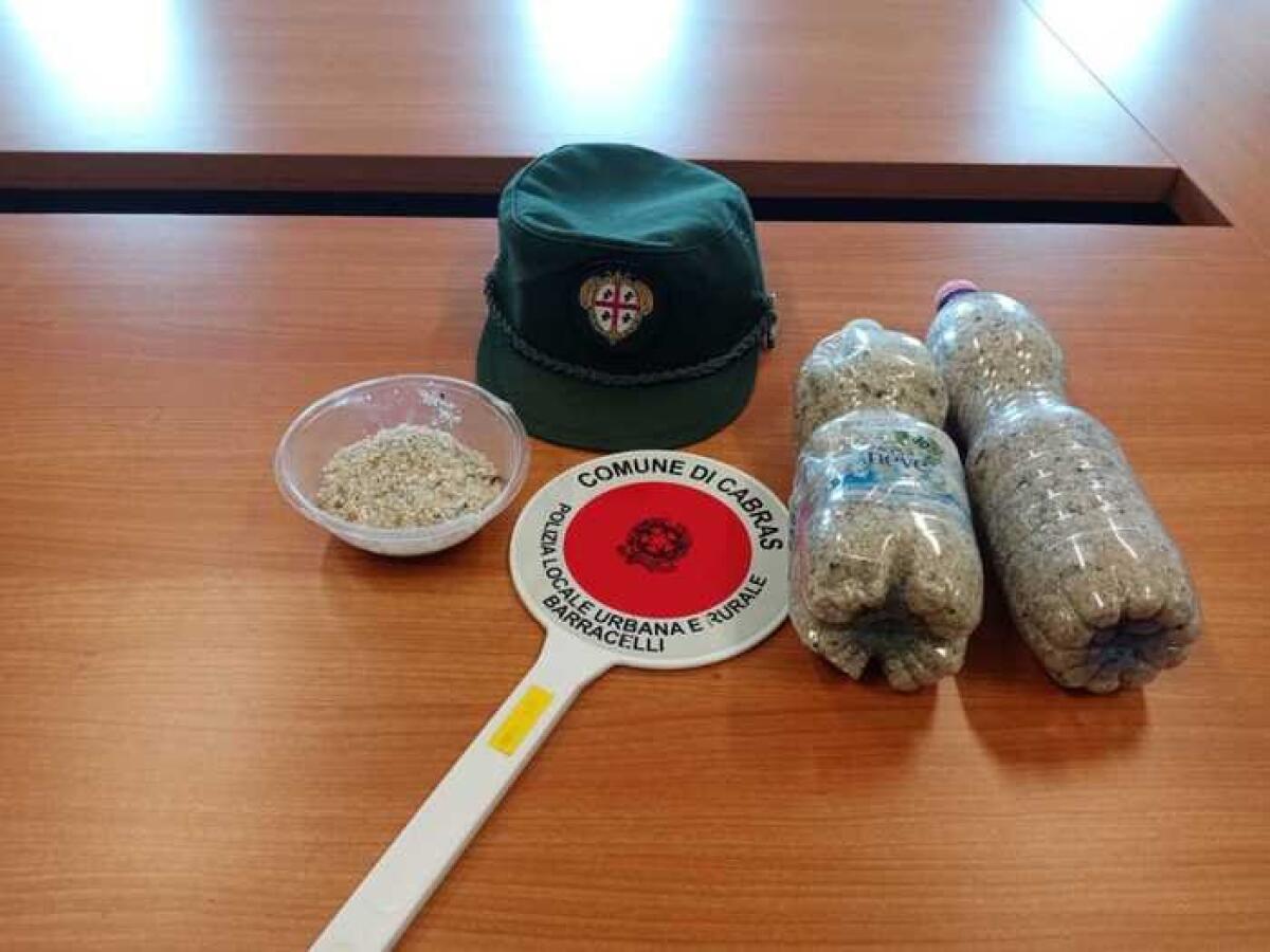 SARDEGNA, COPPIA DI TURISTI SICILIANA TENTA FURTO DI 3 CHILI DI SABBIA: BLOCCATA E MULTATA - 