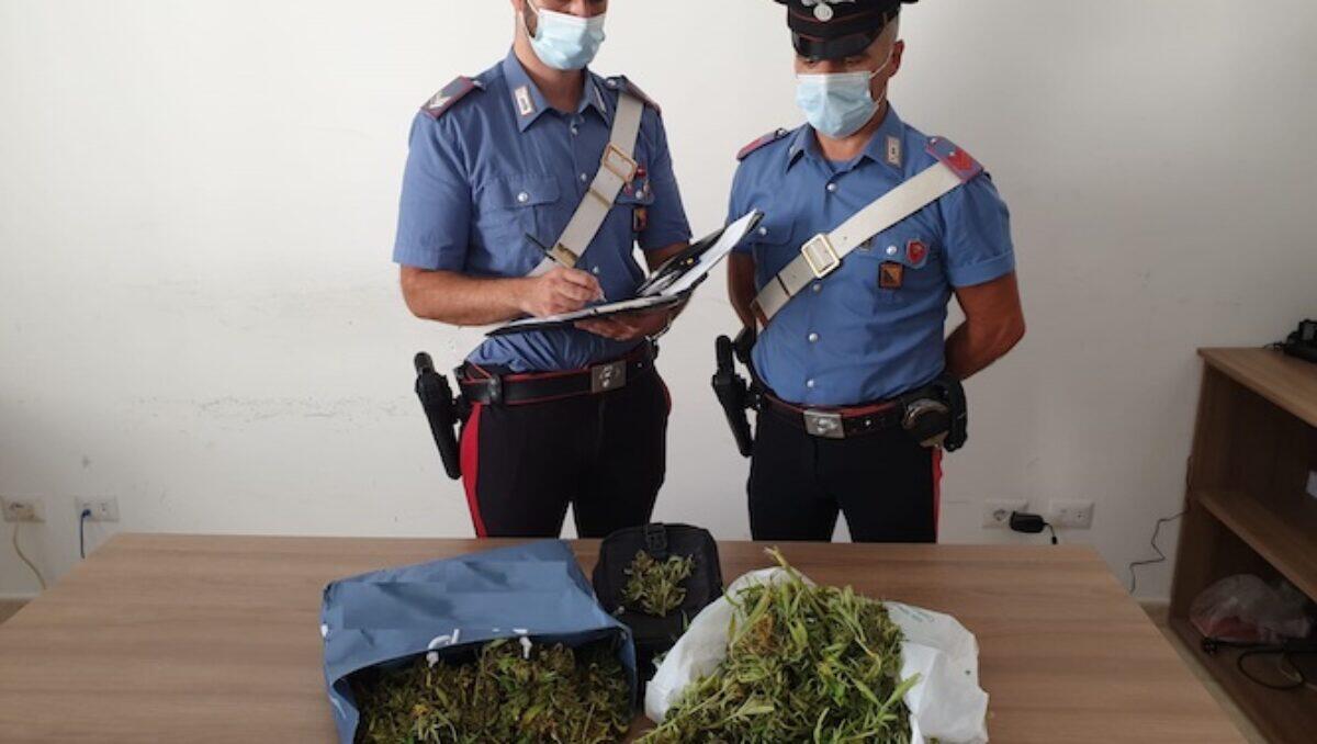 CARLENTINI, CAMMINA IN STRADA CON DUE GROSSE BUSTE, I CARABINIERI TROVANO DENTRO 1,8KG DI MARIJUANA - 
