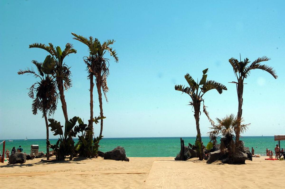 DA DOMANI, VACCINO IN SPIAGGIA E INGRESSO GRATUITO  AL VILLAGGIO TURISTICO LA CUCARACHA - 