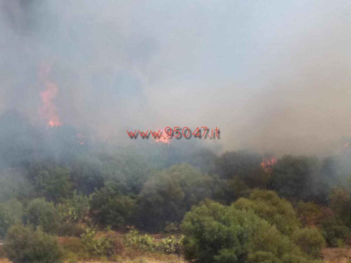 PATERNO’: VASTO INCENDIO STERPAGLIE IN VIALE DELL' UNITÀ D'ITALIA, VICINO ALLE CASE - 