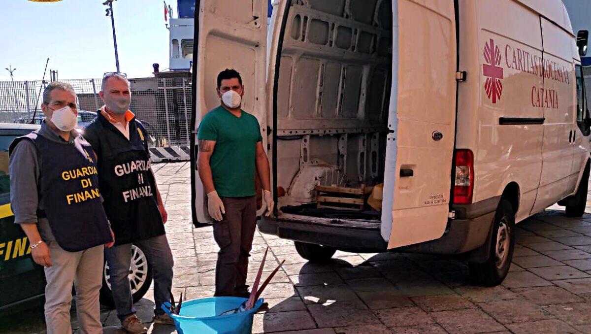 CATANIA: SEQUESTRATI 48 KG DI NEONATO E DUE ESEMPLARI DI “PUDDICINEDDA” DI 30 KG - 