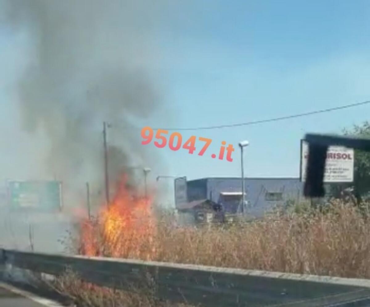 INCENDIO STERPAGLIE AI BORDI DELLA SS121, RALLENTAMENTI - 