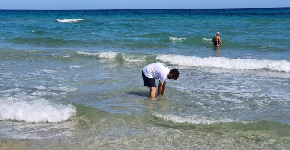 GOLETTA VERDE, ‘IN SICILIA 9 PUNTI SU 24 INQUINATI, ALCUNI DA PIU’ DI 10 ANNI’ - 