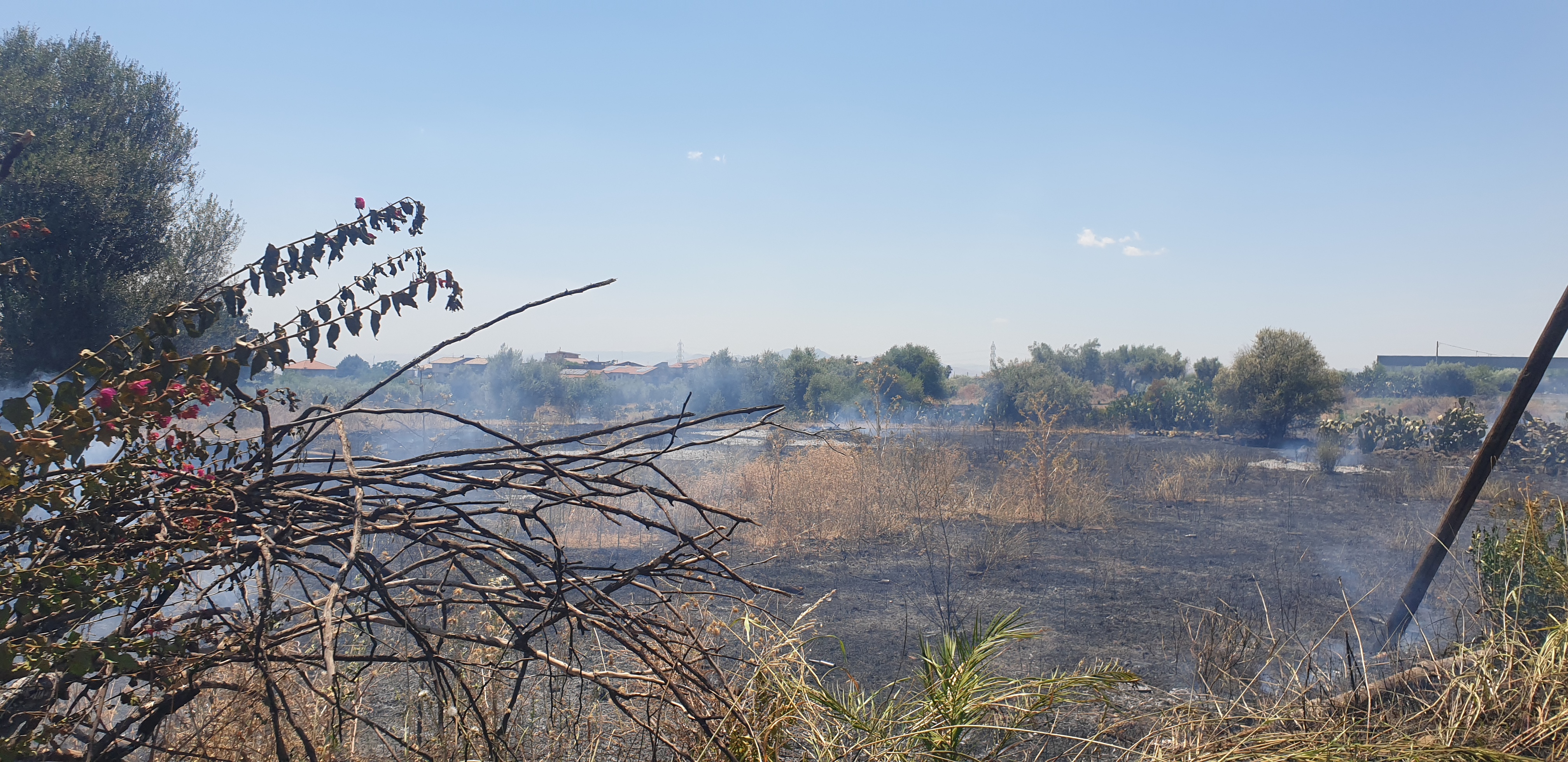 INCENDIO STERPAGLIE IN CONTRADA PALAZZOLO