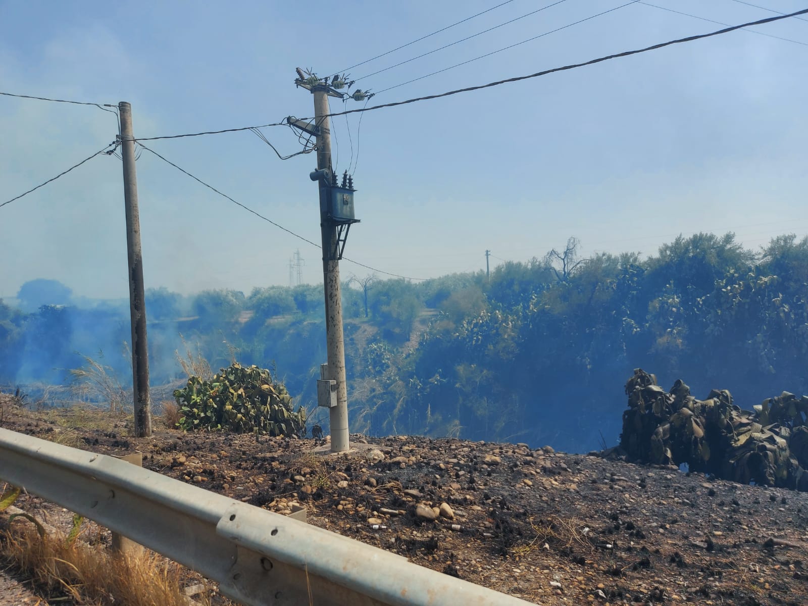 PATERNO. INCENDIO A TRE FONTANE. DALLE STERPAGLIE SI PROPAGA AD AZIENDA, INGENTI DANNI , TANTI ANIMALI MORTI E DISAGI PER I RESIDENTI