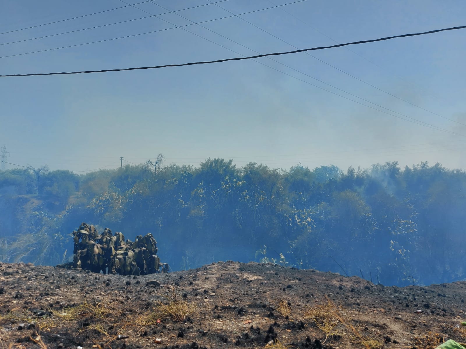 PATERNO. INCENDIO A TRE FONTANE. DALLE STERPAGLIE SI PROPAGA AD AZIENDA, INGENTI DANNI , TANTI ANIMALI MORTI E DISAGI PER I RESIDENTI