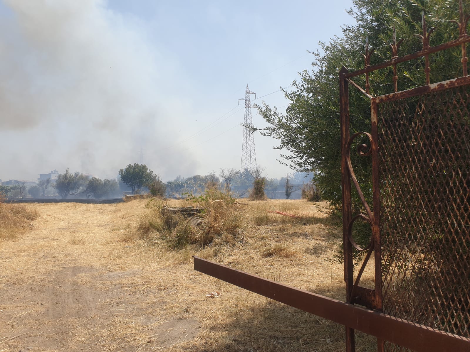 PATERNO. INCENDIO A TRE FONTANE. DALLE STERPAGLIE SI PROPAGA AD AZIENDA, INGENTI DANNI , TANTI ANIMALI MORTI E DISAGI PER I RESIDENTI