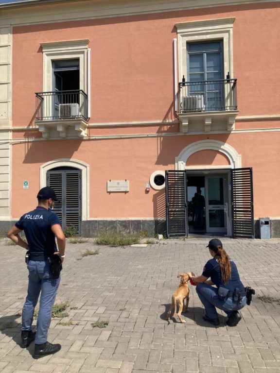CATANIA: UN CUCCIOLO DI POCHI MESI FUGGITO A CAUSA DEGLI INCENDI  SI RIFUGIA PRESSO IL COMMISSARIATO LIBRINO