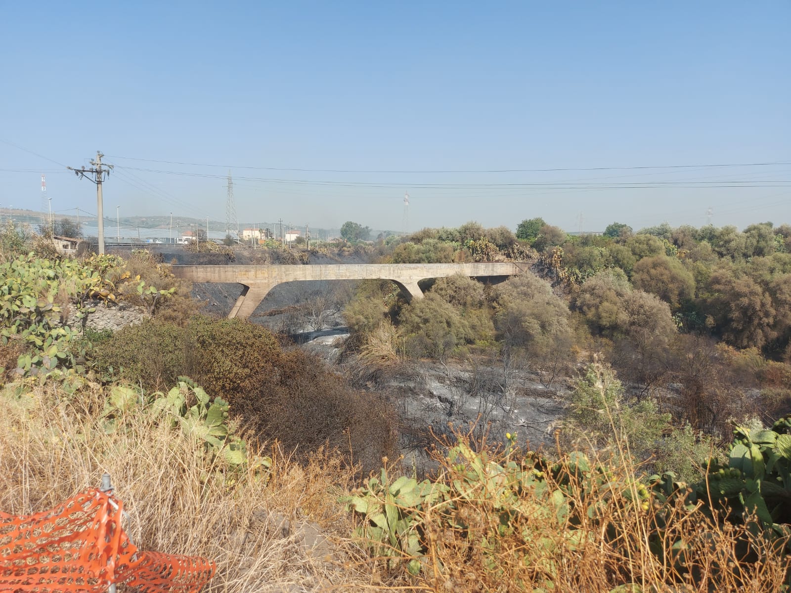 PATERNO. INCENDIO A TRE FONTANE. DALLE STERPAGLIE SI PROPAGA AD AZIENDA, INGENTI DANNI , TANTI ANIMALI MORTI E DISAGI PER I RESIDENTI