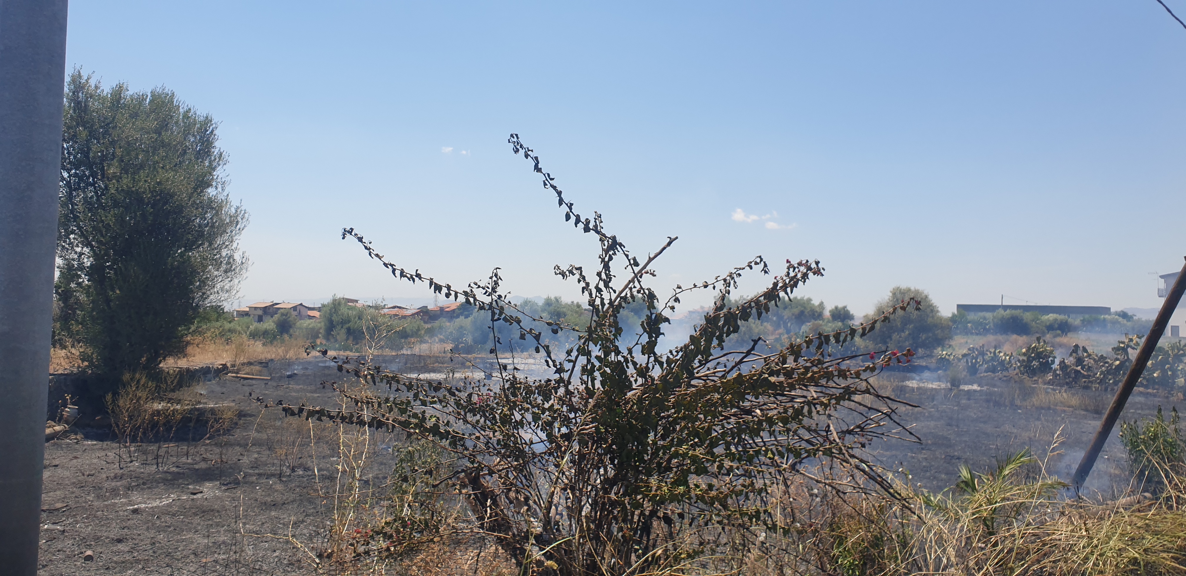 INCENDIO STERPAGLIE IN CONTRADA PALAZZOLO