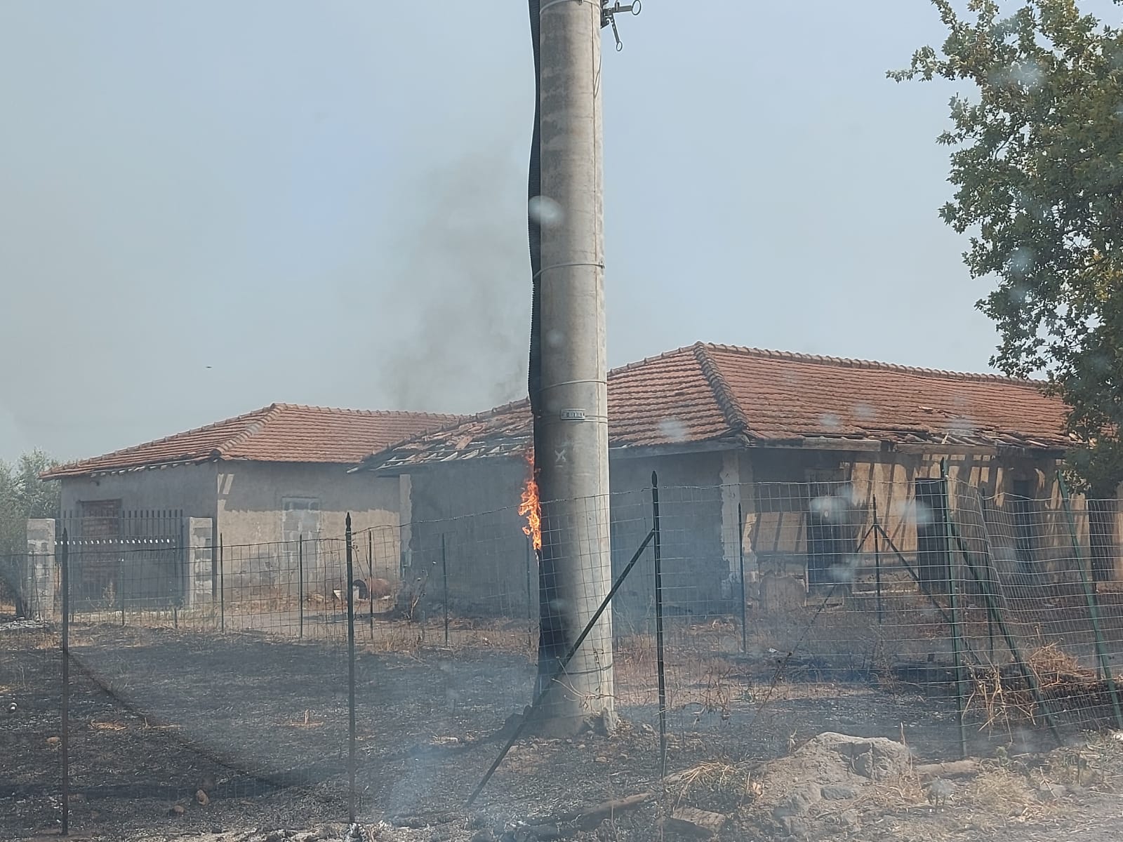 PATERNO. INCENDIO A TRE FONTANE. DALLE STERPAGLIE SI PROPAGA AD AZIENDA, INGENTI DANNI , TANTI ANIMALI MORTI E DISAGI PER I RESIDENTI