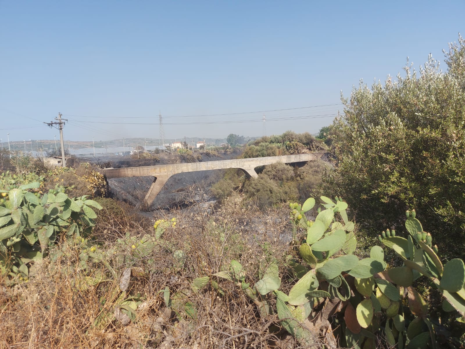 PATERNO. INCENDIO A TRE FONTANE. DALLE STERPAGLIE SI PROPAGA AD AZIENDA, INGENTI DANNI , TANTI ANIMALI MORTI E DISAGI PER I RESIDENTI