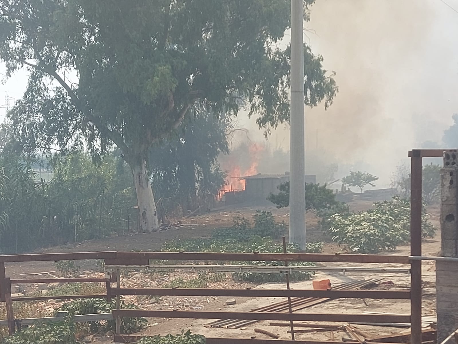 PATERNO. INCENDIO A TRE FONTANE. DALLE STERPAGLIE SI PROPAGA AD AZIENDA, INGENTI DANNI , TANTI ANIMALI MORTI E DISAGI PER I RESIDENTI