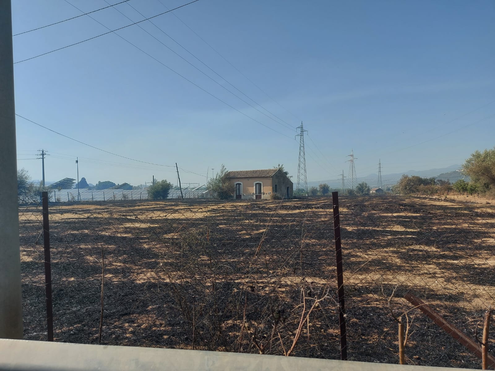 PATERNO. INCENDIO A TRE FONTANE. DALLE STERPAGLIE SI PROPAGA AD AZIENDA, INGENTI DANNI , TANTI ANIMALI MORTI E DISAGI PER I RESIDENTI