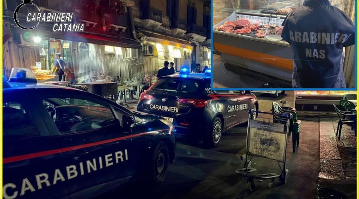 CATANIA: CONTROLLI A TAPPETTO ALLO “STREET FOOD” DEL CENTRO STORICO, SANZIONI E SEQUESTRI - 
