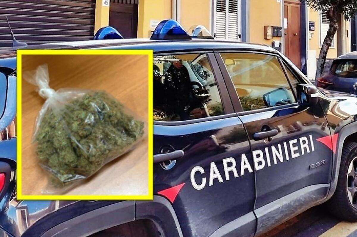 PEDARA. NASCONDEVA LA MARIJUANA NELL’ASPIRAPOLVERE: ARRESTATO - 