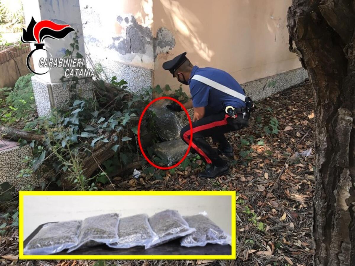 GIARRE. SCOPERTO UN DEPOSITO DI MARIJUANA (5 KG) ALL’INTERNO DEL PARCO - 