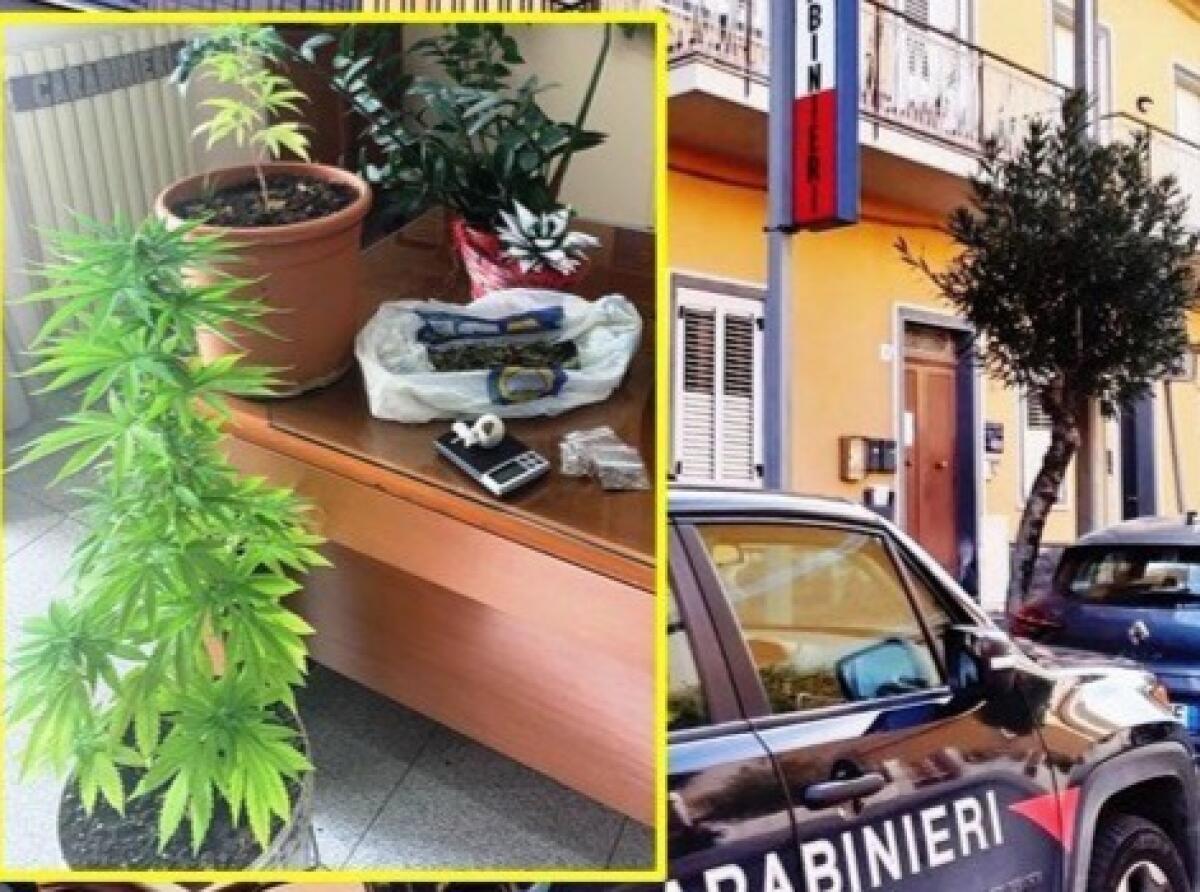 PEDARA. TENTA DI BEFFARE I CARABINIERI CHE TROVANO IL RESTO DELLA DROGA: ARRESTATO - 