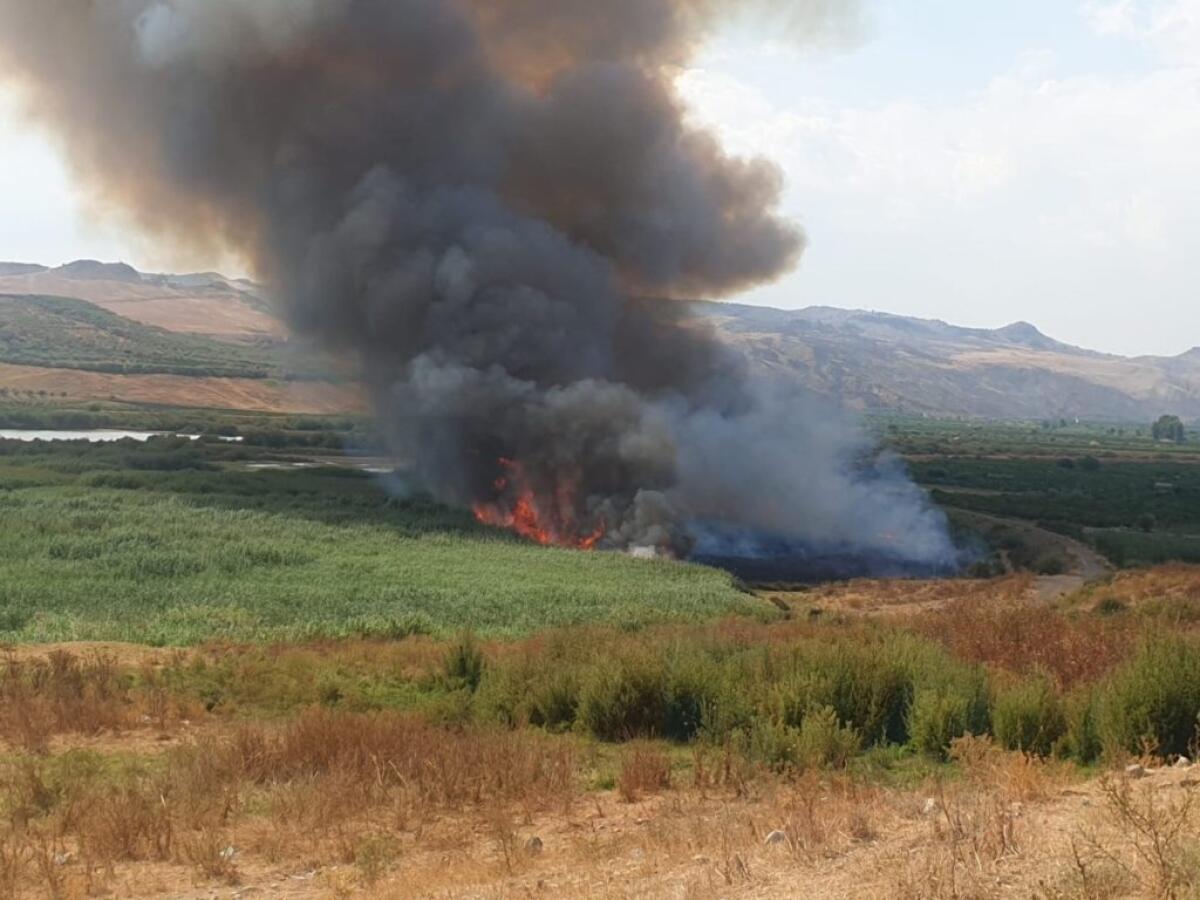 INCENDI ALL'OASI PONTE BARCA, CIANCIO (M5S): “COSA DEVE SUCCEDERE ANCORA PER CONVINCERE LA REGIONE AD ATTIVARSI?” - 