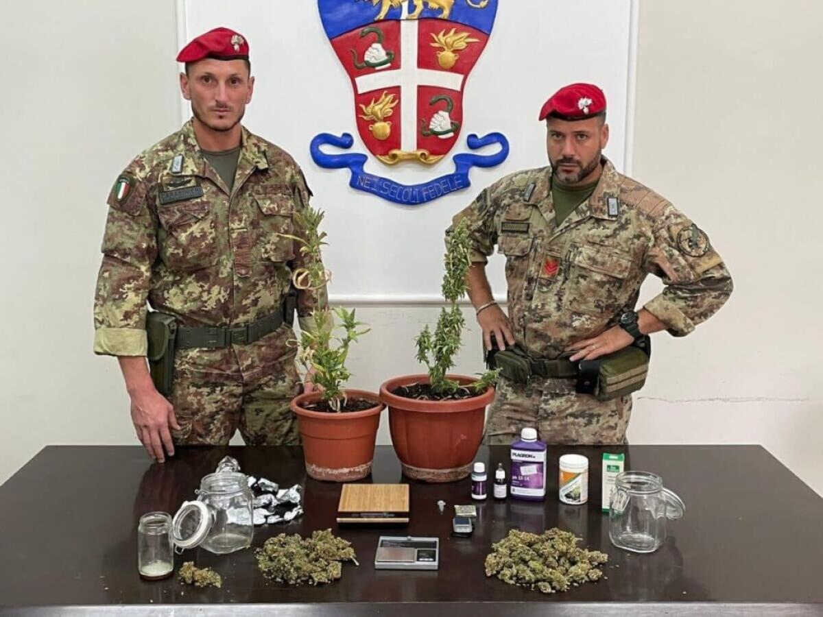 MOTTA SANT’ANASTASIA, PRODUTTORE DI CANNABIS SI AGGIORNAVA TRAMITE RIVISTE SPECIALIZZATE, ARRESTATO 25ENNE - 