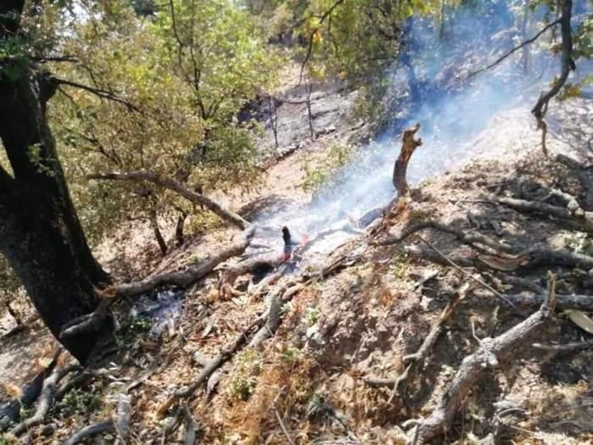 TROVATI DEGLI INNESCHI PER ATTIVARE INCENDI A CASTELMOLA - 